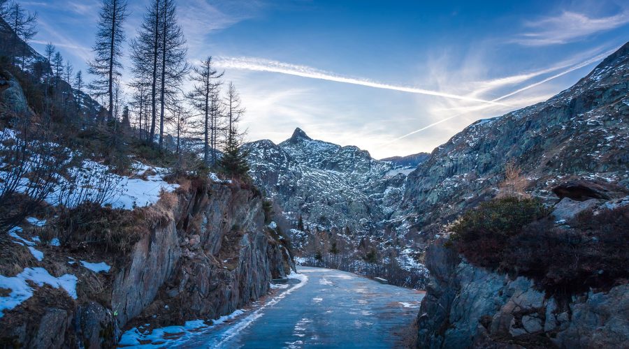 shutterstock_791333146